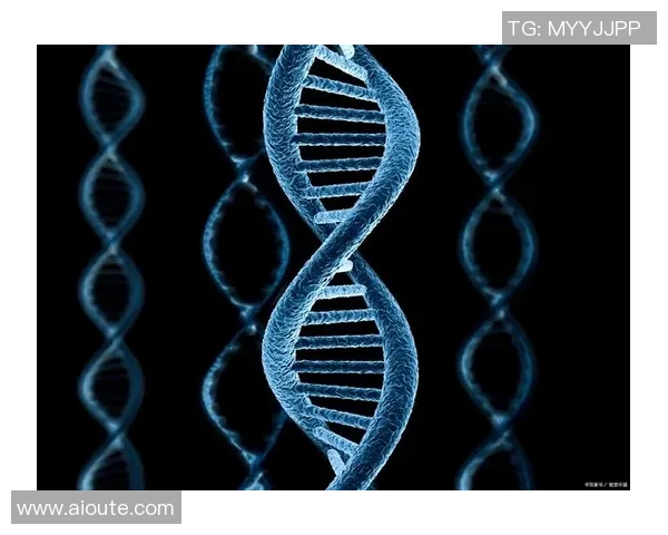 斯通斯乐队传奇之路与音乐影响力的深远探讨 斯通斯乐队传奇之路与音乐影响力的深远探讨